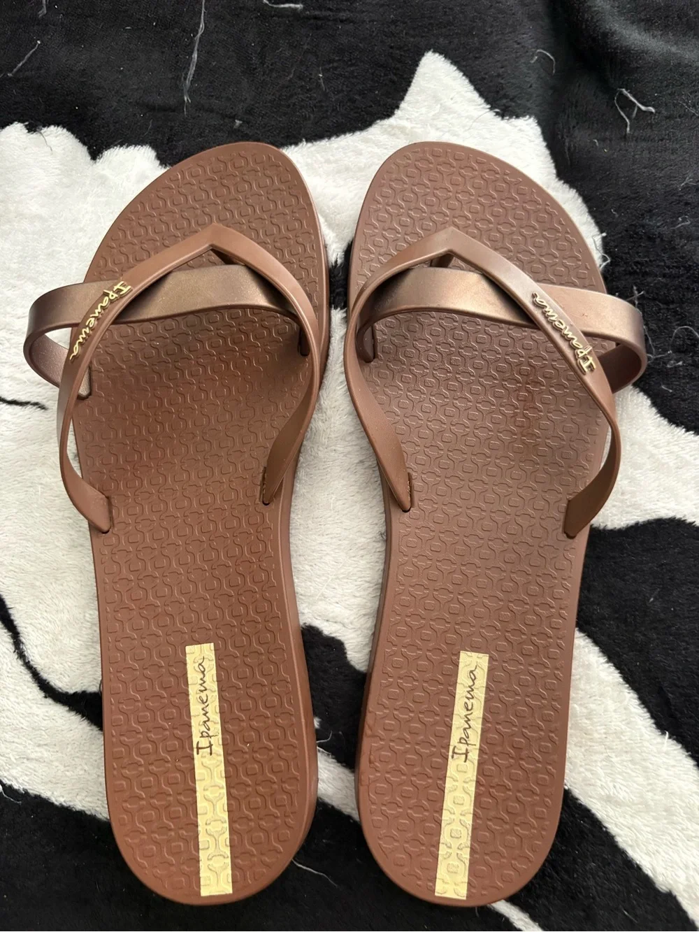 Ipanema Women's Brown Flip Flop Sandals with Gold Logo Accent